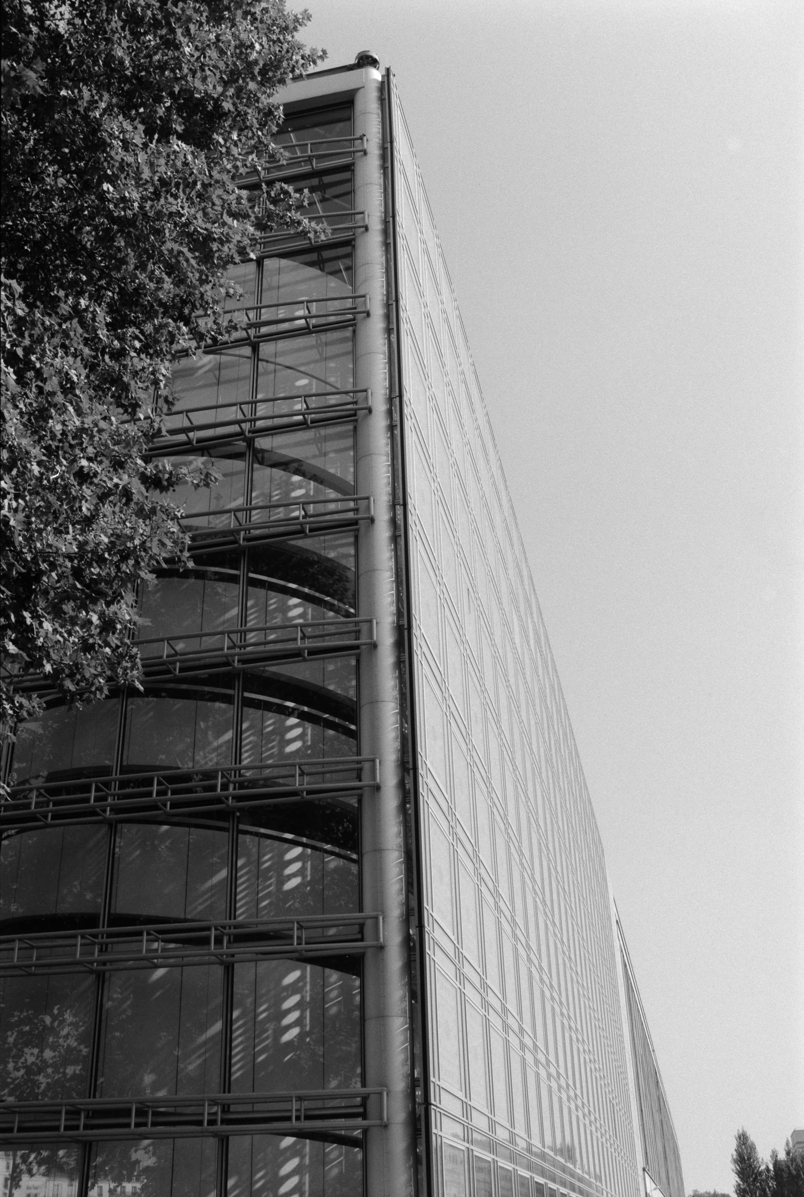 AHP F1990 09 001 sc240801 img21 NLP